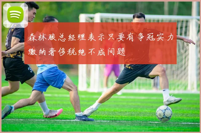 森林狼总经理表示只要有争冠实力缴纳奢侈税绝不成问题